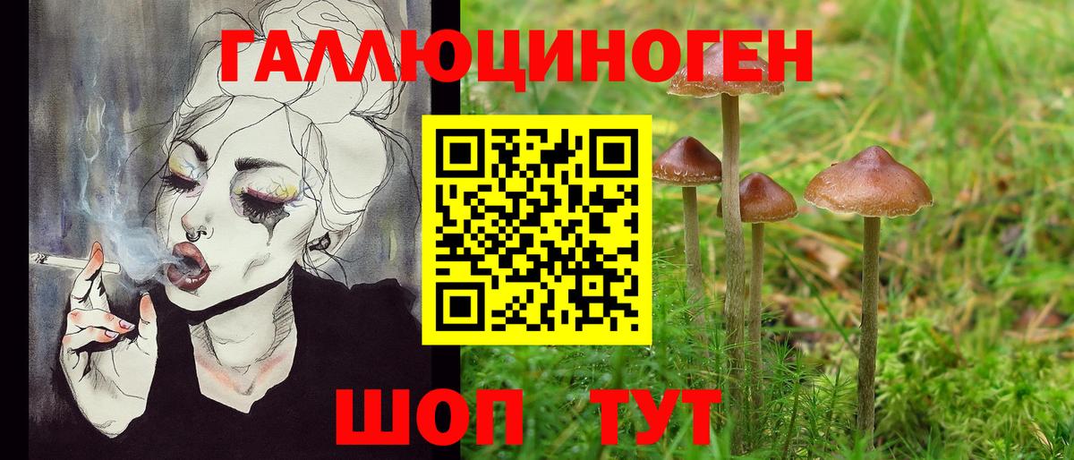 Псилоцибиновые грибы Magic Shrooms  Вход с VPN  Ижевск 